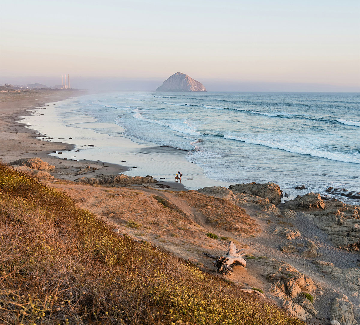 Cayucos beach with Morro Rock in the background